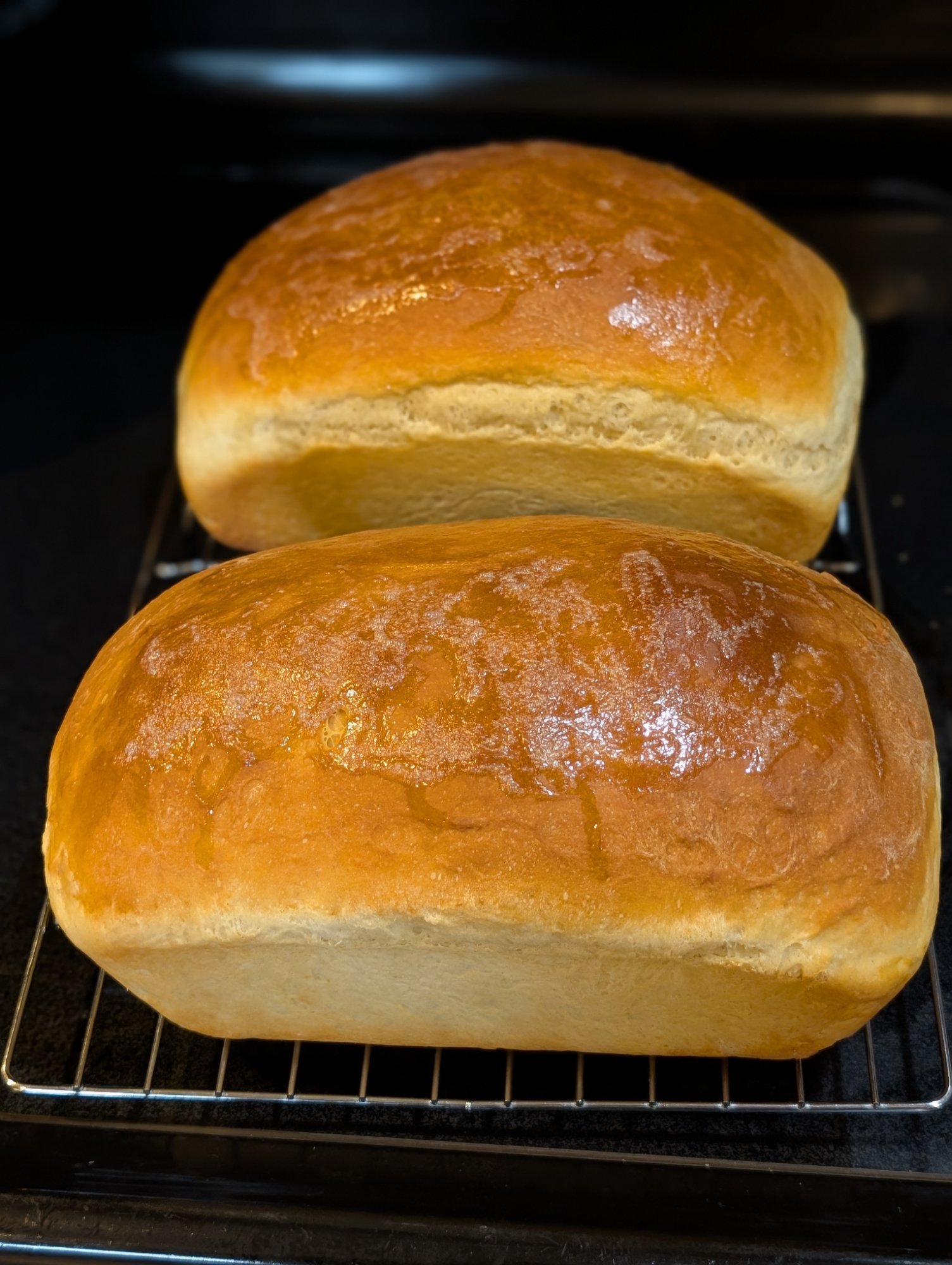 Golden honey wheat loaves fresh from the oven