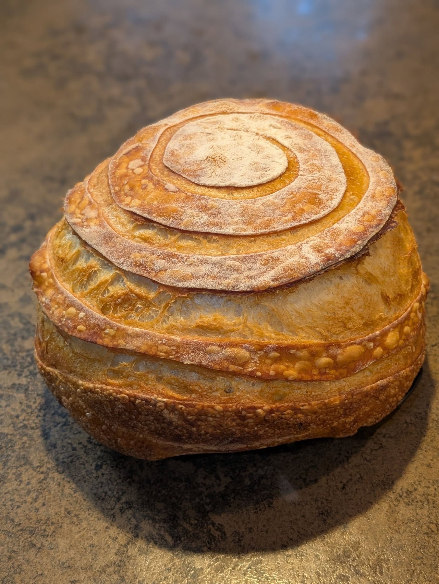 Fresh spiral-scored sourdough loaf